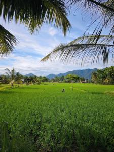 PaddyPalms Huts Trekking & Beyond