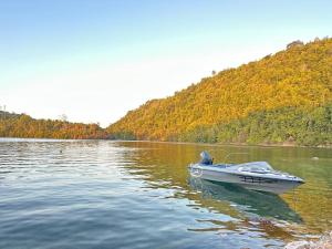 Bone Moute Speed Boat Rent