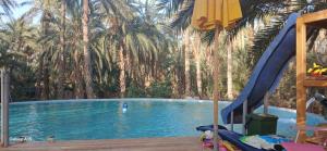 Camping Ecological Coco Oasis with natural Pool