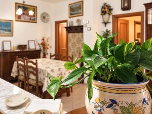 Nini House