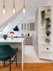 Central City Skylight Studio 26