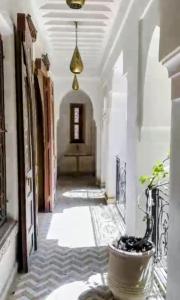 Riad Nejma
