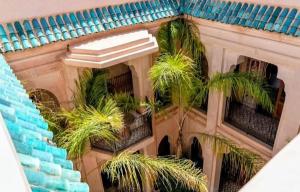 Riad Nejma