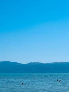Vlora Sunset Home