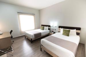 Hotel EJM PREMIUM