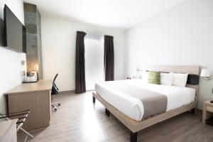 Hotel EJM PREMIUM