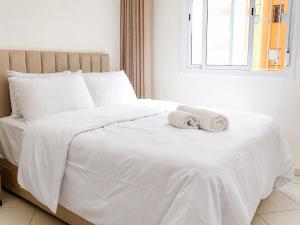 appart cosy AC fibre parking