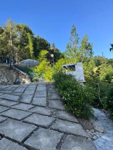 Villa Nelly