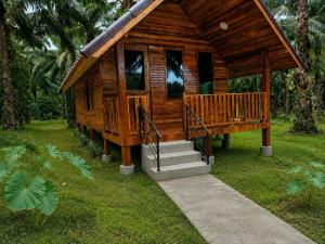 KhaoSok Mountain Palms Lodge & Tours