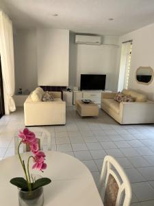Aris Villa Sani