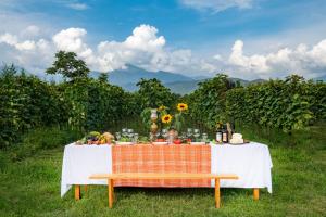 Bartholomeus Winery