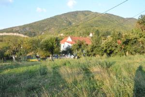Gazdinstvo Tadić