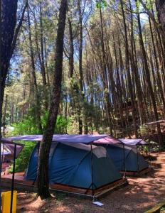 Cozzy Muara Rahong Hills