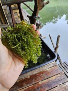 Big hug home-Baan Rim Klong