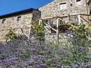 The Old Olive Press Il Vecchio Frantoio