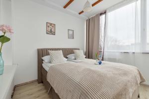 Jasny Apartament w Centrum by Noclegi Renters