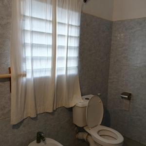 PatLeo Suites