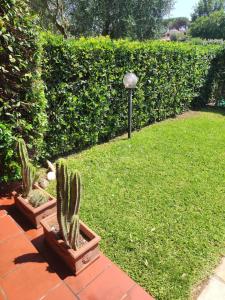 Villa with garden and private equipped beach