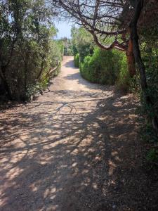 Villa with garden and private equipped beach