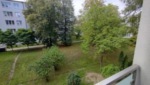 "Apartament - KATO GREEN CORNER - spacerkiem do Spodka i Centrum"