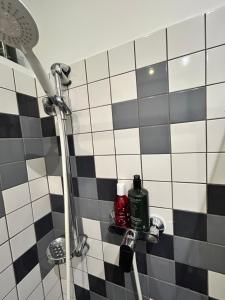 Luxury spacious 2 room flat near Agenskalna market