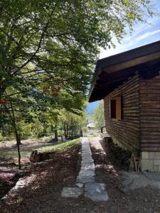 Baita immersa nel verde