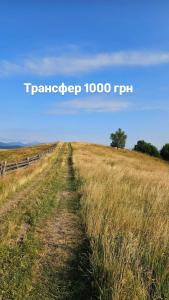 Роза вітрів Намбер чотири