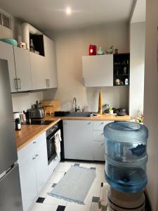 Luxury spacious 2 room flat near Agenskalna market
