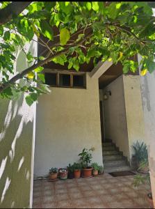 Tina S House