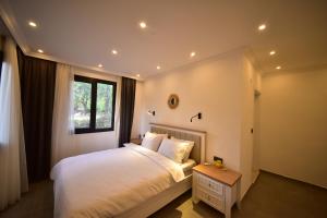 Matisse Villas with in Old Historic Town