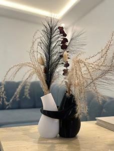 New Modern Apartment Climatiseur Terrace