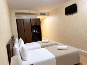Hotel Mziuri