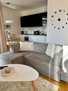 Premium Apartment Potoki 6A & free Parking by SPV Rentals