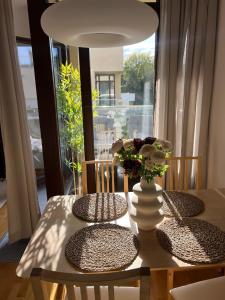 Premium Apartment Potoki 6A & free Parking by SPV Rentals