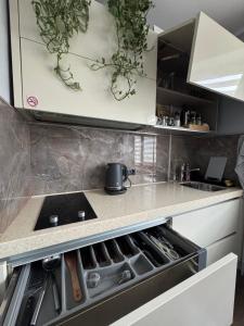 Laimas street Apartment