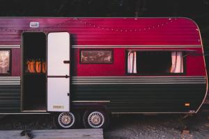 Amanita Wild Camper