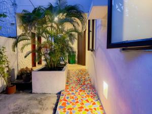 Casa isla punta la manta
