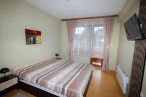 Velingrad Central Apartments