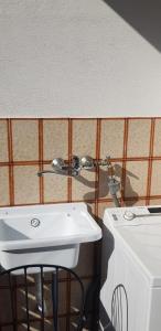 Aventino-Piramide Quiet Studio with Garden-View Terrace