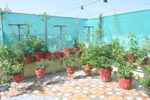 Berhampur lodge