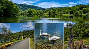 Apartament LAKEAPART