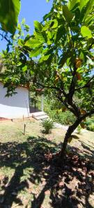 Casa da Pipoca