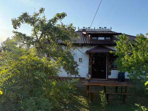Casa Cuca Macai