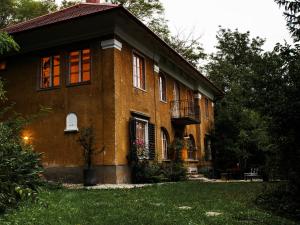Izóra