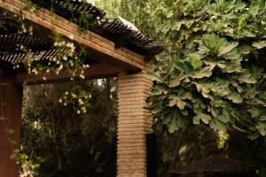 Royal Palm Riad, Breakfast, Lunch, Transport and Luxury Activities