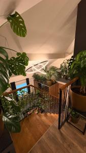 JUNGLE Wellness Apartment