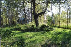 OAAS Dome House - Hottube, Sauna, Chimney & BBQ Included in Price