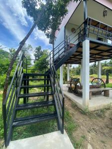 Firefly Jungle Bungalow
