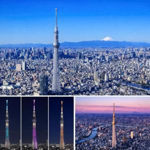THE東京本格的な日本伝統住宅の新体験!! 貸切露天浴場 成田空港 羽田空港直通特急駅 68インチ映画TV室 近スカイツリー 浅草上野銀座ディズニー 高速WiFi 長期割引 東京和屋AOTOa
