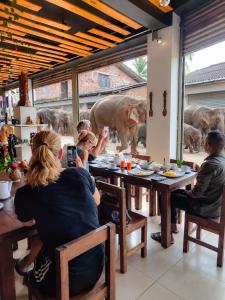 Elepath Lodge Pinnawala-StayElephants Walk to Bathe